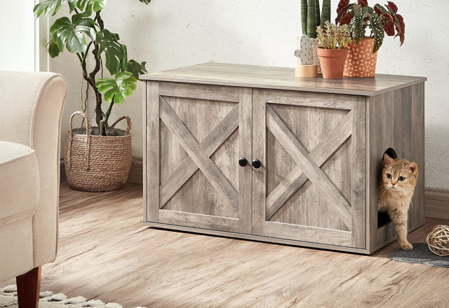 Our Best Litter-Box Deals